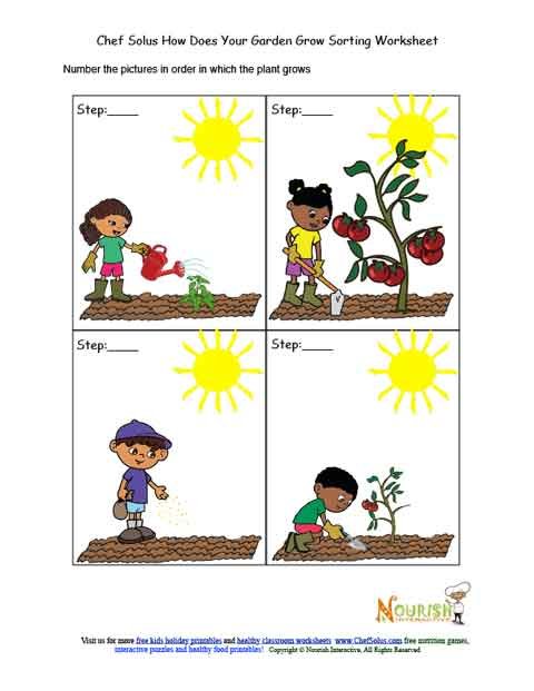 kids-garden-chronological-sorting-activity-worksheet
