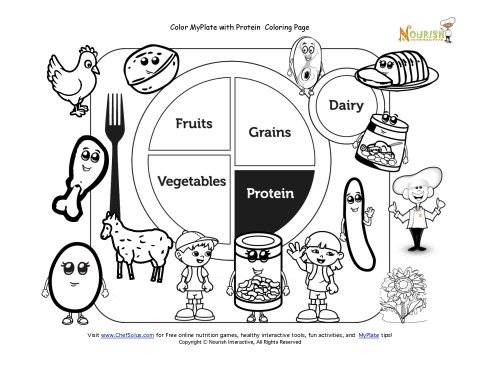Featured image of post Protein Food Group Coloring Pages On each page the student draws pictures of and writes the name of