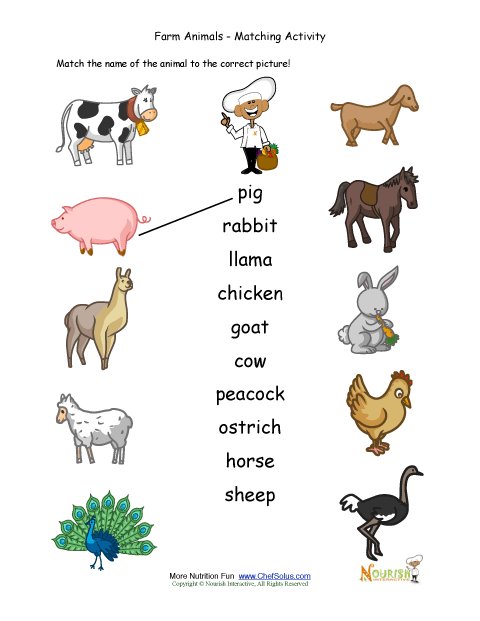 Farm Animal Coloring Matching Activity Page For Kids