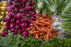 vegetable by color