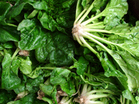 spinach foods high in calcium